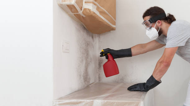 Professional Basement Mold Removal technician working in Schooleys Mountain, NJ