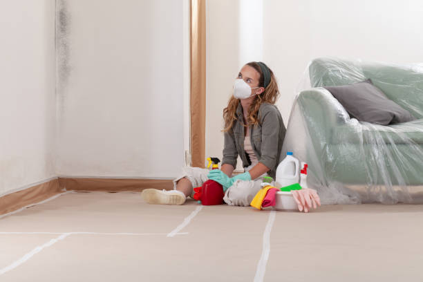 Reliable Basement Mold Removal contractor in Schooleys Mountain, NJ by WQB Mold Removal